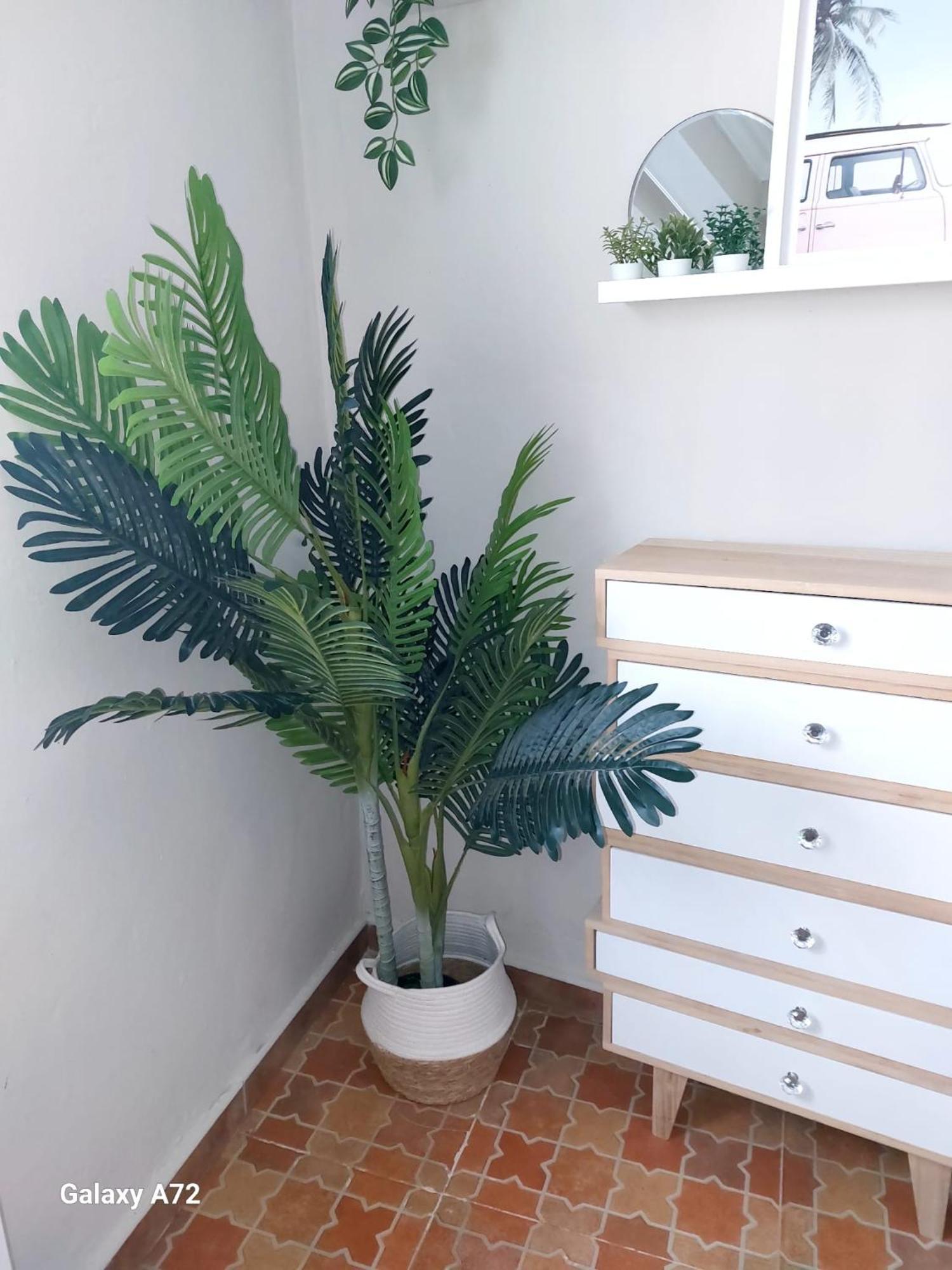 Appartement Regla 150 M De La Playa *